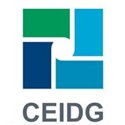logo CEIDG