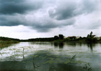 Jezioro Radomno