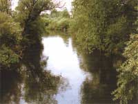 Rzeka Drwęca