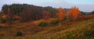 Widok na lasy graniczne gmin NM i Kurzętnik na Marianowie (nieopodal przebiega trasa NML-Mroczno)